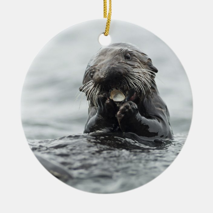 Adorable Sea Otter Christmas Ornament Zazzle.co.uk