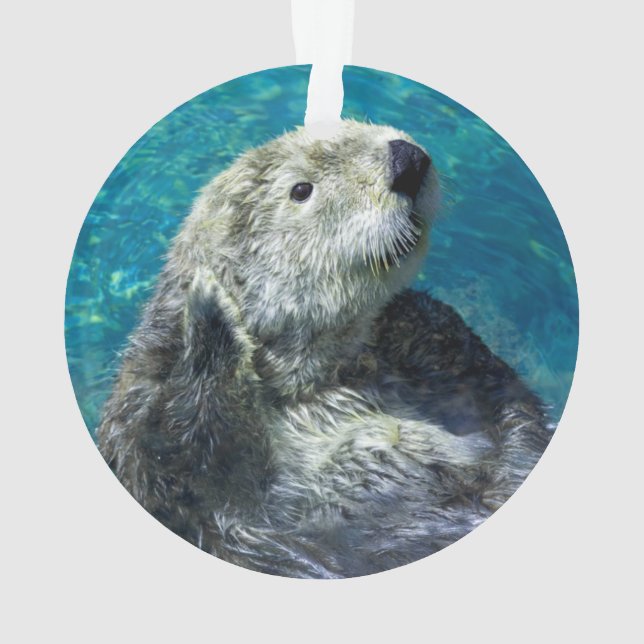Adorable Sea Otter Cute Blue Water Ornament (Back)