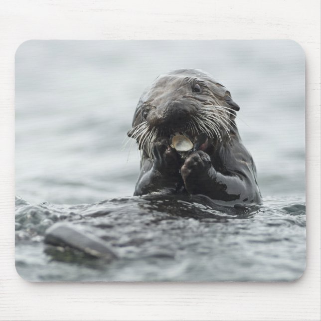 Adorable Sea Otter Mouse Mat (Front)