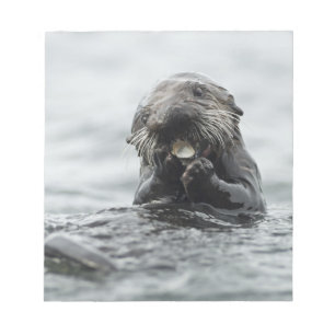 Adorable Sea Otter Notepad