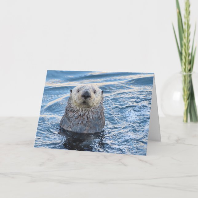 Adorable Sea Otter Peeks Card (Front)