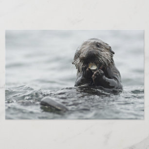 Adorable Sea Otter Stationery