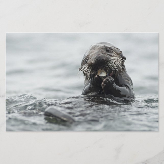 Adorable Sea Otter Stationery (Front)
