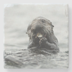 Adorable Sea Otter Stone Coaster