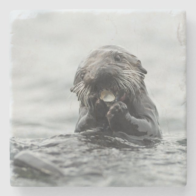 Adorable Sea Otter Stone Coaster (Front)