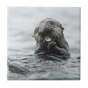 Adorable Sea Otter Tile