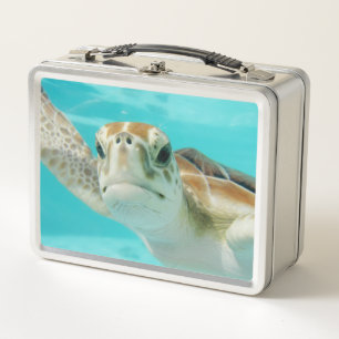 Adorable Sea Turtle Metal Lunch Box