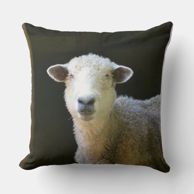 Adorable Sheep Cushion (Front)