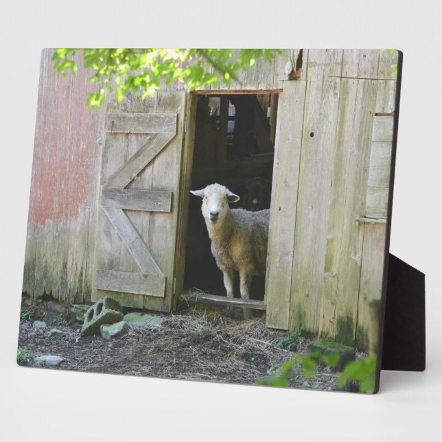 Adorable Sheep Plaque (Side)