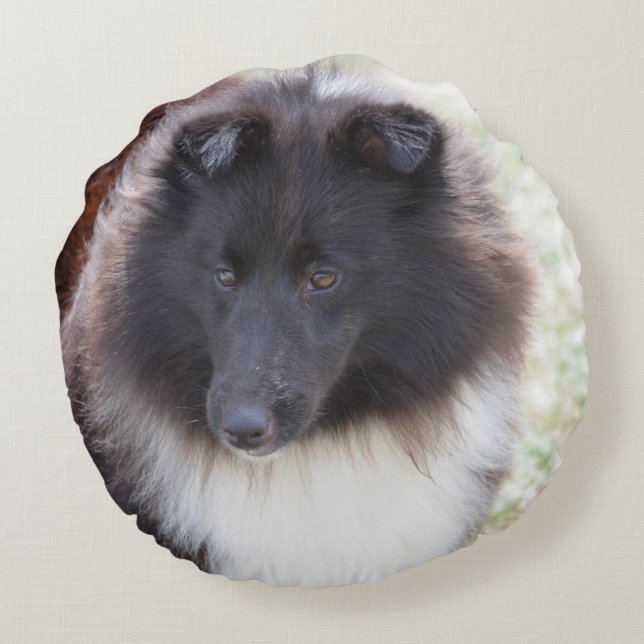 Adorable Sheltie Round Cushion (Back)