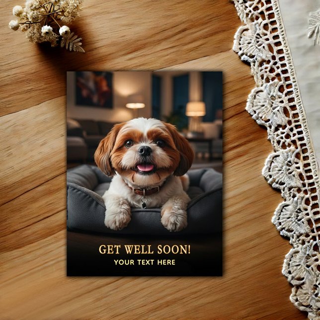 Adorable Shih Tzu Get Well  Postcard (Creator Uploaded)
