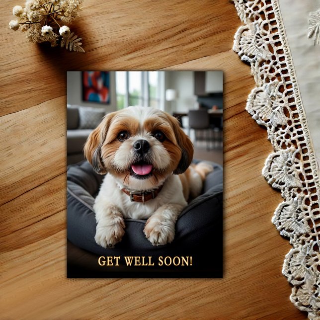 Adorable Shih Tzu Get Well  Postcard (Creator Uploaded)