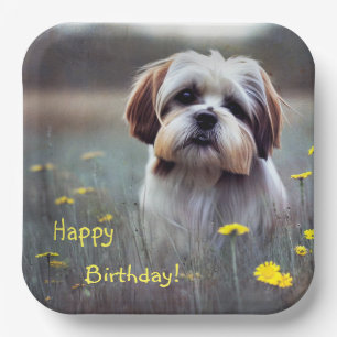 Adorable Shih Tzu  Paper Plate