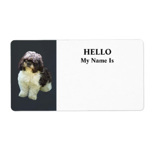 Adorable Shih Tzu Puppy
