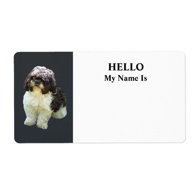 Adorable Shih Tzu Puppy (Front)