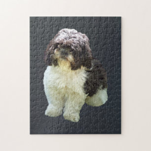 Adorable Shih Tzu Puppy Jigsaw Puzzle