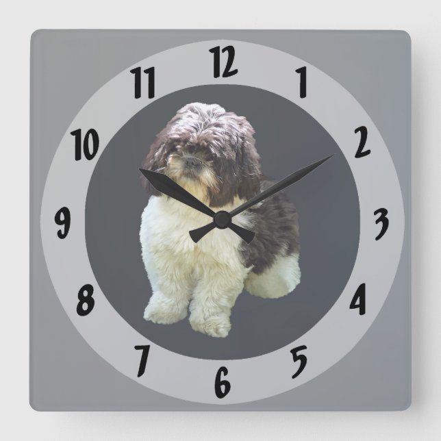 Adorable Shih Tzu Puppy Square Wall Clock (Front)