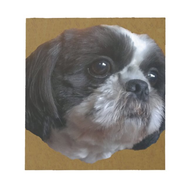 Adorable Shih tzu Rico Notepad (Front)