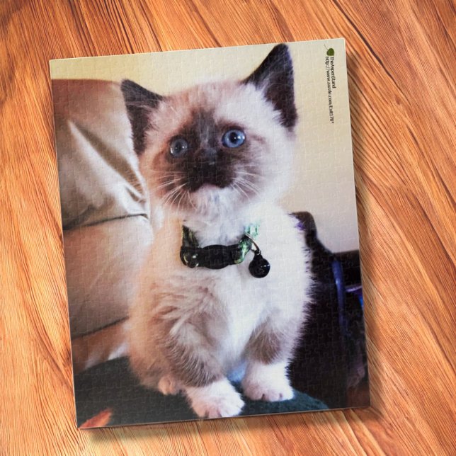 Adorable Siamese Kitten Blue Eye Close-up Photo Jigsaw Puzzle (jigsaw puzzle on table)