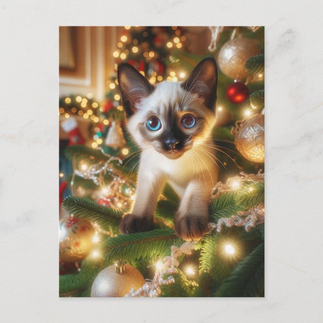 Adorable Siamese Kitten in a Christmas Tree Postcard (Front)