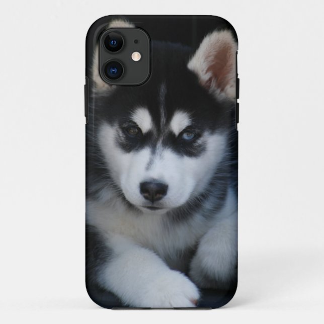 Adorable Siberian Husky Sled Dog Puppy Case-Mate iPhone Case (Back)