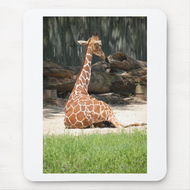 Adorable Sitting Giraffe Mouse Mat (Front)