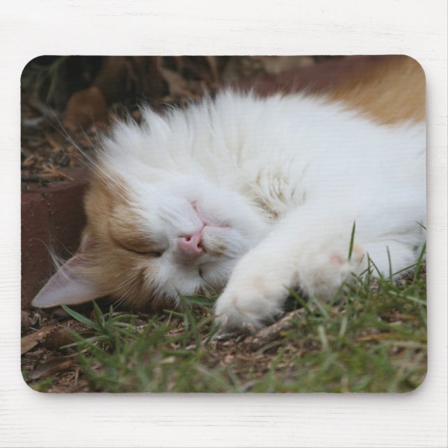 adorable sleeping cat mousepad (Front)