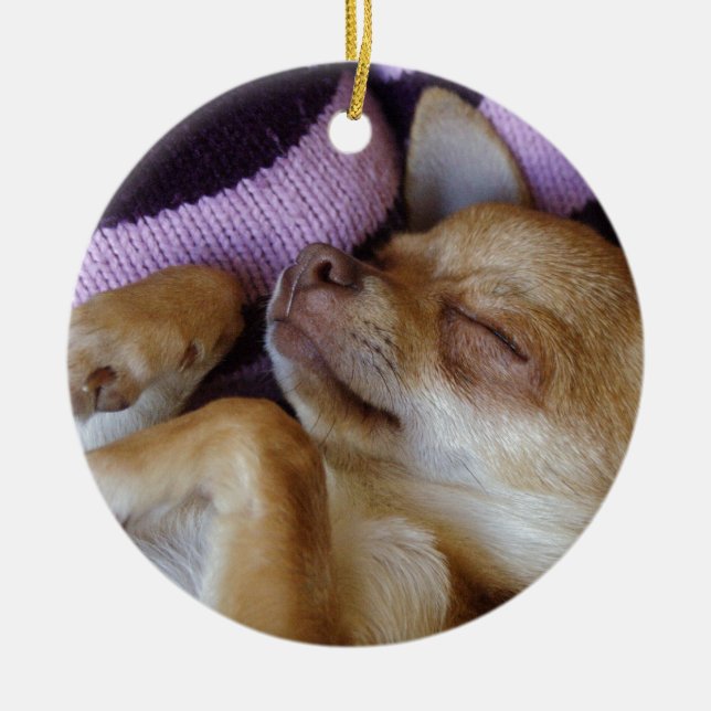 Adorable Sleeping Chihuahua Puppy Ceramic Tree Decoration (Front)