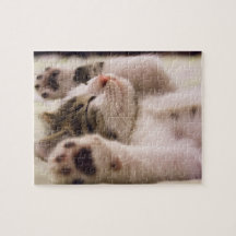 Adorable sleeping kitten puzzle