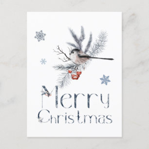 Adorable Small Bird Sits On A Pine Branch Postcard
