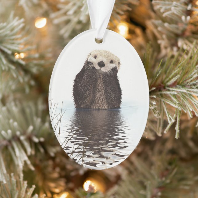 Adorable Smiling Otter in Lake Ornament (Tree)