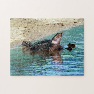 Adorable Soft Shell Turtle at the Beach Jigsaw Puzzle