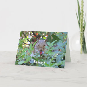 Adorable Squirrel Birthday Card