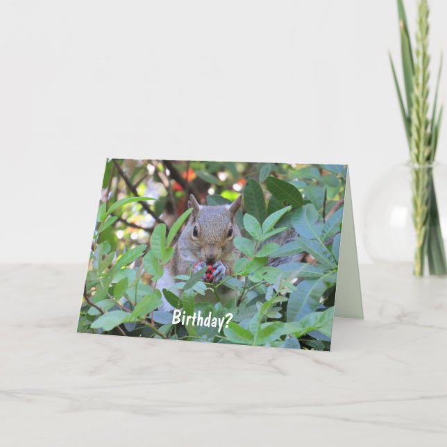 Adorable Squirrel Birthday Card (Front)