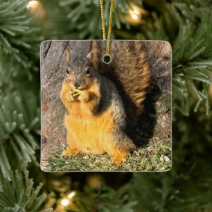 Adorable Squirrel Ceramic Ornament