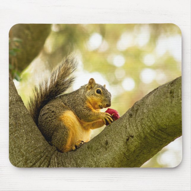 Adorable Squirrel Mouse Pad (Front)