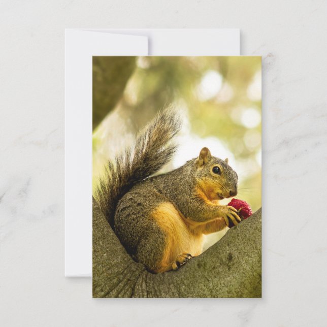 Adorable Squirrel Personalised Greeting Card (Front)