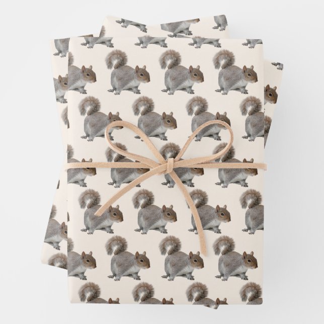 Adorable Squirrel Wrapping Paper Sheet  (In situ)