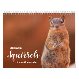 Adorable Squirrels 2025 Calendar