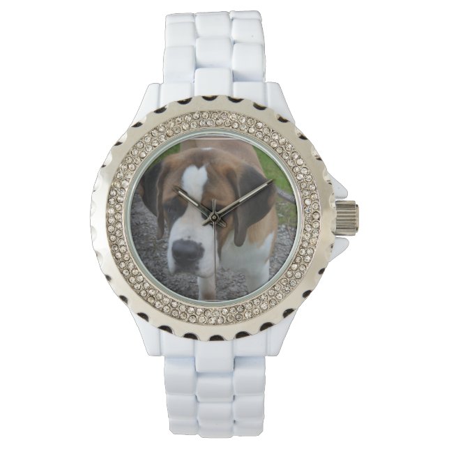Adorable St Bernard Watch (Front)