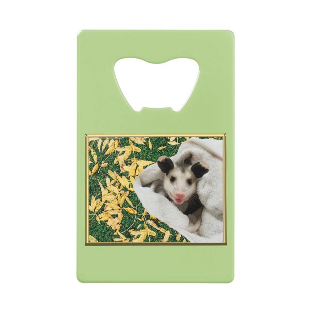 Adorable Sweet Baby Opossum (Front)