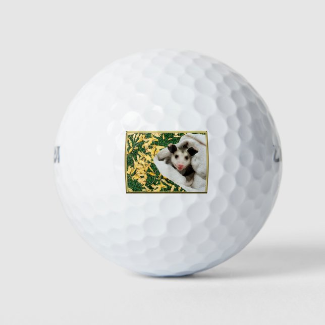 Adorable Sweet Baby Opossum Golf Balls (Front)