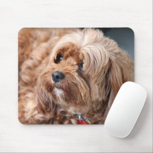 Adorable Sweet Cavoodle Puppy Mouse Mat