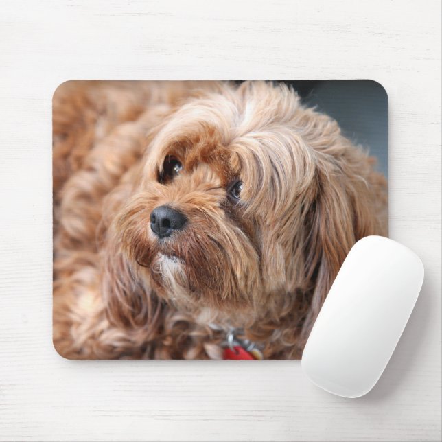 Adorable Sweet Cavoodle Puppy Mouse Mat (With Mouse)