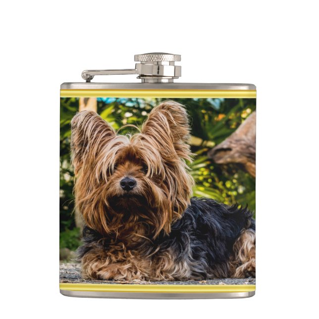 Adorable sweet Yorkshire terrier gold foil design Hip Flask (Front)