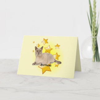 Adorable Tan Burmese Cat in the Stars    Card