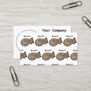 Adorable Tan Tabby Kitten Sleep Name Tag