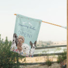 Adorable Teal Open Dog Grooming Salon