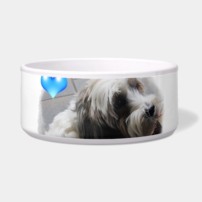 Adorable Tibetan Terrier with a heart dog food bow (Front)