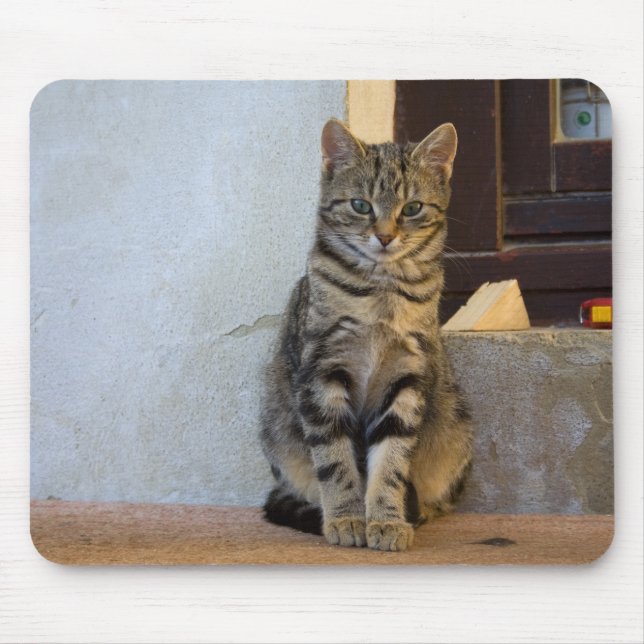 Adorable Tiger Cat Baby Mouse Mat (Front)